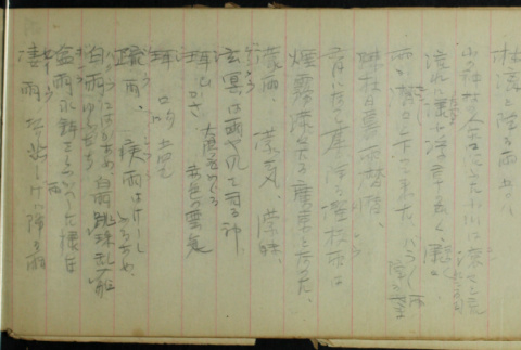 Japanese diary (ddr-densho-335-455)