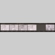Negative film strip for Farewell to Manzanar scene stills (ddr-densho-317-62)