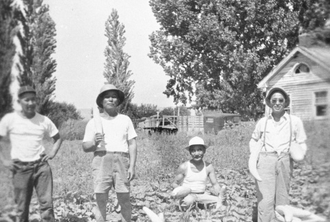 Japanese Americans picking vegetables (ddr-densho-15-80)