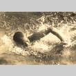 Shozo Makino swimming (ddr-njpa-4-1009)