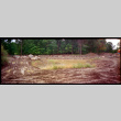 Pond under construction (ddr-densho-377-2326)