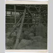 Laborers moving rock (ddr-densho-377-1637)