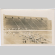 Large group on field in stadium (ddr-densho-329-1371)