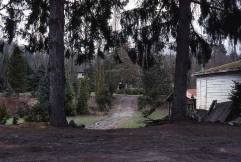 Side of the old Maintenance Area, two spruces are by wall, shot from where gate now is (ddr-densho-354-1205)