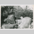Boulders in a garden (ddr-densho-377-79)