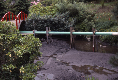 Diversion pipe near the Moon Bridge, second pond, during rebuilding of Heart Bridge (ddr-densho-354-1160)