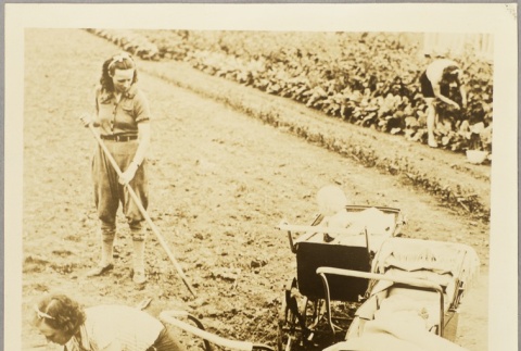 Women working in a garden next to babies in strollers (ddr-njpa-13-239)