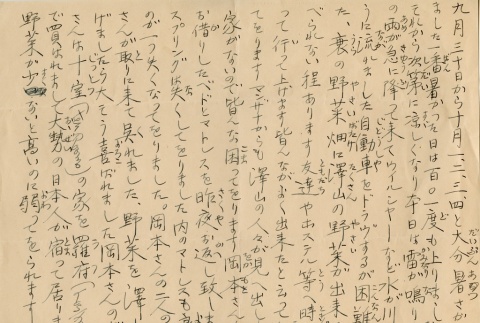 Letter written in Japanese (ddr-densho-153-235)