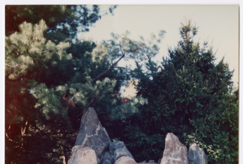 Pool with rock feature (ddr-densho-377-2439)