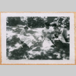 Photo of three young men on lawn (ddr-densho-341-210)