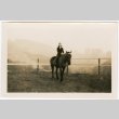 Tomoye (Nozawa) Takahashi riding a horse (ddr-densho-426-1711)