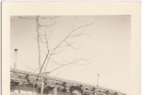 Front and back (ddr-densho-420-23-mezzanine-6119770a06)