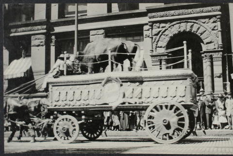 Parade wagon with bulls (ddr-densho-355-632)