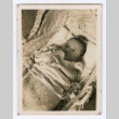 Ace Nakahara baby photo (ddr-densho-378-214)