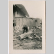 Laborer cutting log (ddr-densho-377-1618)