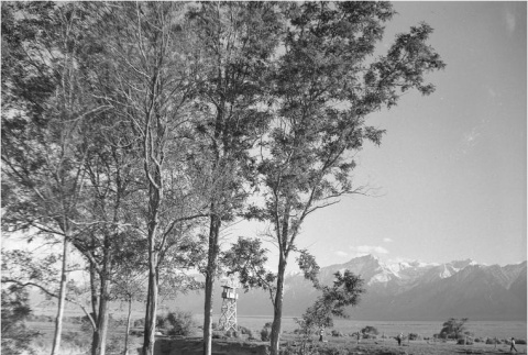Manzanar landscape (ddr-densho-153-280)