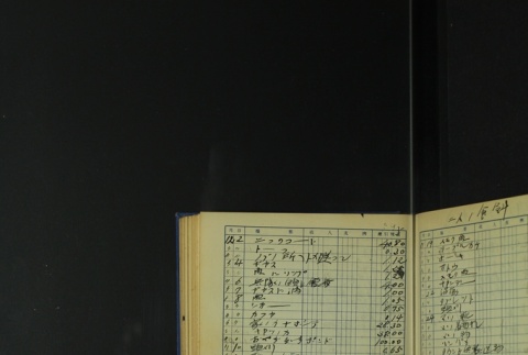 Page 417 (ddr-densho-255-5-master-7f17b375e0)