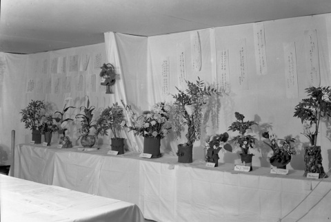 Ikebana exhibit in camp (ddr-fom-1-115)