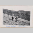 Man and woman standing in rocky field (ddr-densho-464-27)