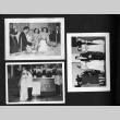 Wedding reception] (ddr-csujad-25-326)
