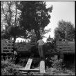 Men moving large tree down ramp from truck (ddr-densho-377-1567)