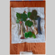 Collection of leaves and wire for shell art (ddr-densho-539-8)