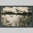 Seagulls flying over ocean (ddr-densho-540-133)