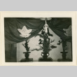Sho chiku bai arrangement exhibit (ddr-densho-37-1323)