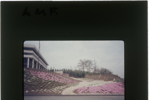 Landscaping at the AMF project (ddr-densho-377-923)