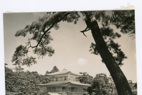 Kinkakuji Temple (ddr-ohs-1-112)