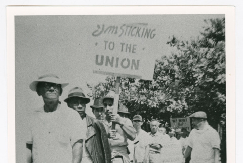 ILWU pineapple strike (ddr-densho-1007-325)
