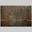 Gazebo from across the pond (ddr-densho-377-2456)