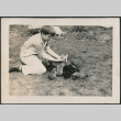 Boy with dog and puppies, and one kitten (ddr-densho-316-422)