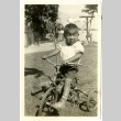 Little boy on a tricycle (ddr-manz-6-53)