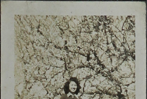 A woman standing under fruit trees (ddr-densho-321-1167)