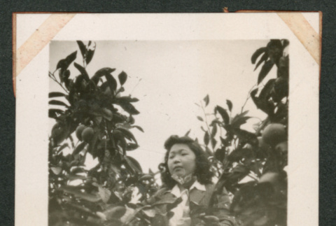 Woman (ddr-densho-550-277)