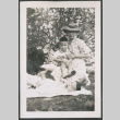 Photo of a woman and two children in a park (ddr-densho-483-767)
