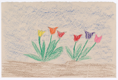 Drawing of a flower (ddr-densho-483-75)