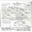 Standard certificate of birth (ddr-csujad-12-21)