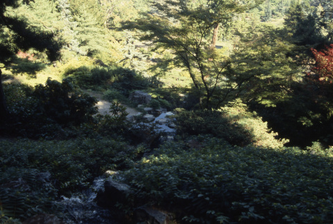 Looking down stream on Mountainside (ddr-densho-354-1971)