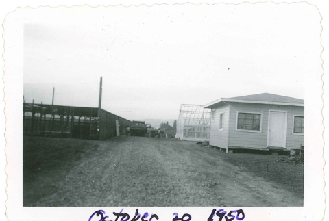 Union City Greenhouses (ddr-densho-441-32)