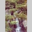 Waterfall off the Mountainside (ddr-densho-354-501)