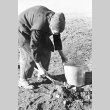 Issei woman collecting coal in camp (ddr-densho-39-29)