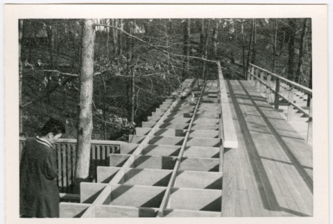 Bridge (ddr-densho-377-2506)