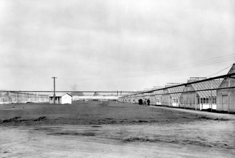 Rows of greenhouses (ddr-ajah-3-30)