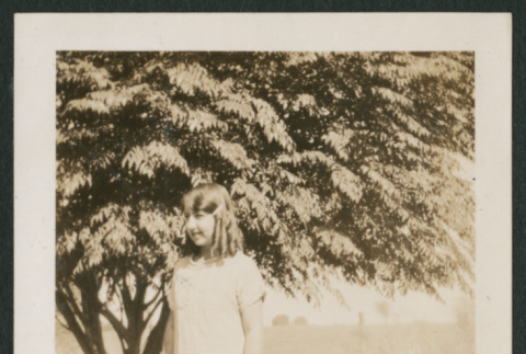 girl by tree (ddr-densho-378-292)