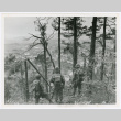 Japanese-American soldiers look down on French valley (ddr-densho-1007-266)