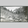 Photograph of a rock field in the mountains near Manzanar (ddr-csujad-47-309)