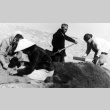 Japanese Americans digging for shells (ddr-densho-2-48)