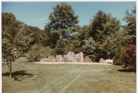 Rock feature (ddr-densho-377-2419)
